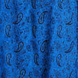 BLUE PAISLEY MATCHING WESTERN SHIRTS