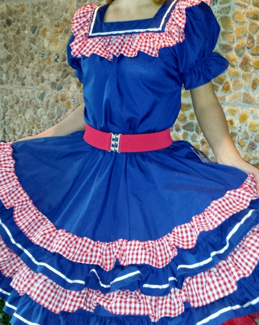 NAVY AND RED GINGHAM