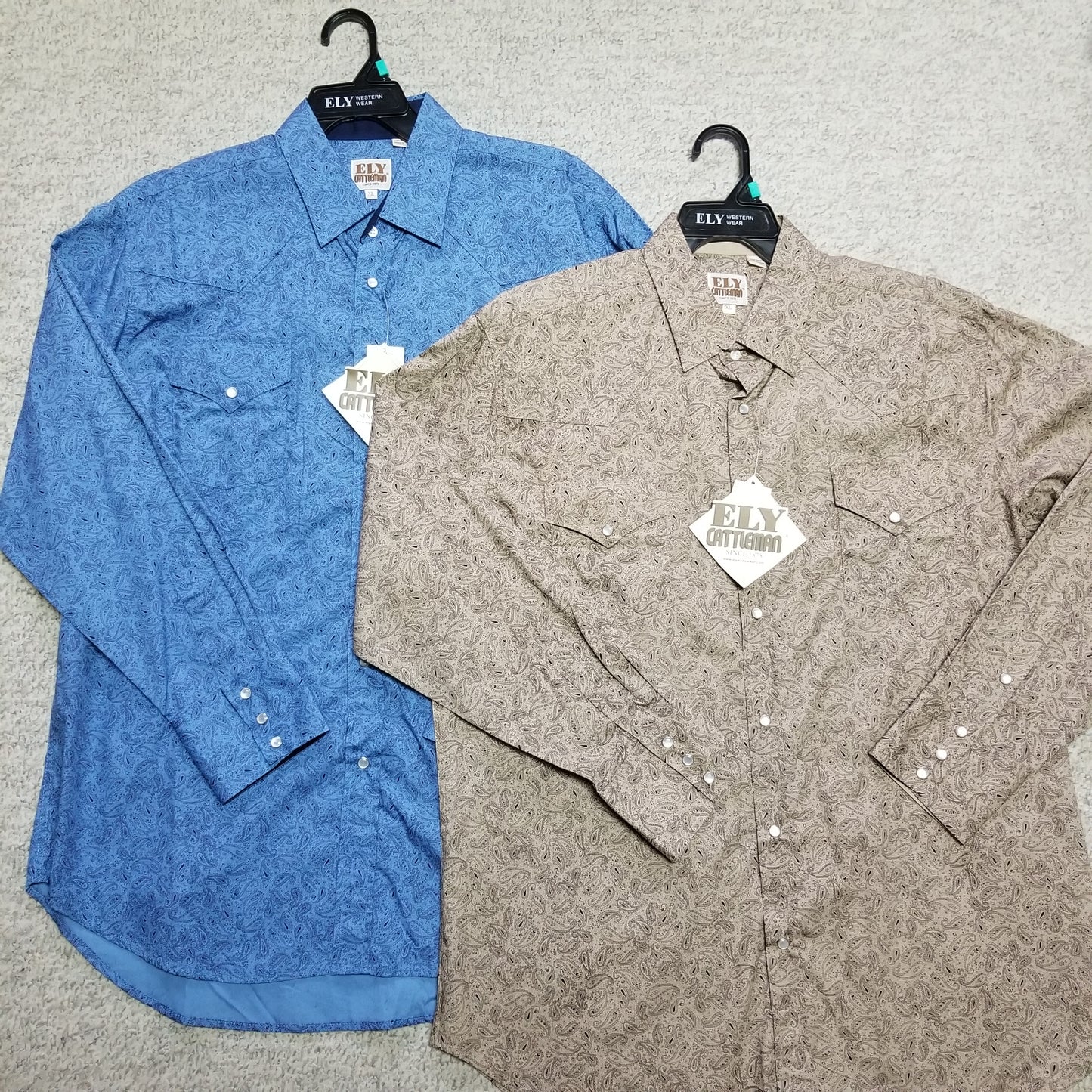 Ely paisley western shirt